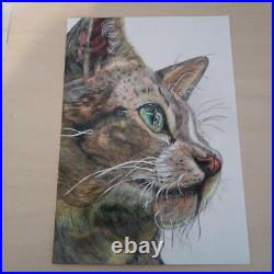 Cat colored pencil drawing, handmade, A4 size, Kent paper, profile illustration
