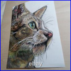 Cat colored pencil drawing, handmade, A4 size, Kent paper, profile illustration
