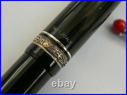 Delta We Black Fountain Pen, Sterling Silver Ring Red Pepper