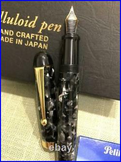 Handmade fountain pen Onishi Seisakusho Celluloid Nib M
