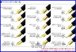 Namiki N-20M-TA-M Fountain pen YUKARI collection Bamboo 18K No10 PILOT Handmade