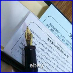 Onishi Seisakusho Handmade Celluloid Fountain Pen Nib Steel Gold Plated